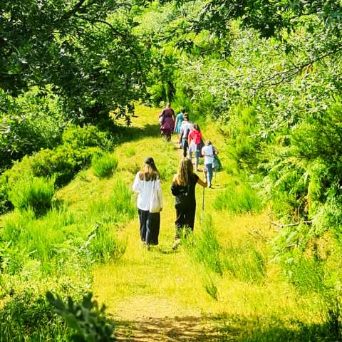 excursion yoga te transforma